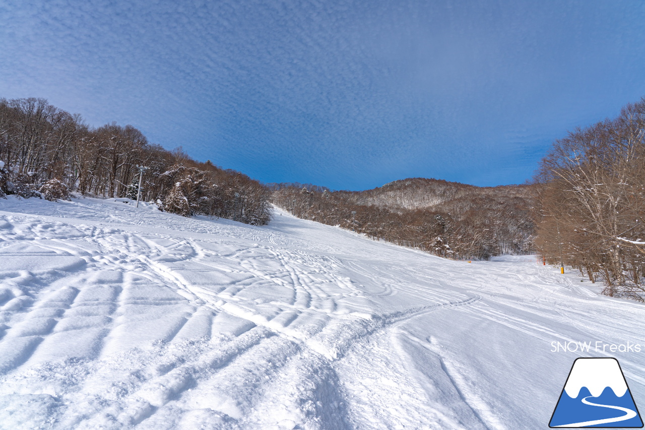 札幌藻岩山スキー場｜ふわっふわの粉雪シーズン到来！思いっきり多彩なコースを楽しみましょう！